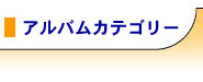 アルバムカテゴリー