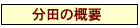 分田の概要