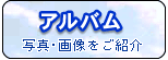 アルバム